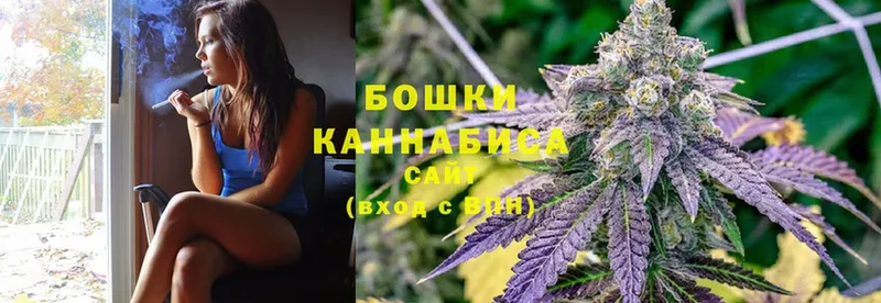 Канабис Bruce Banner  Верея 